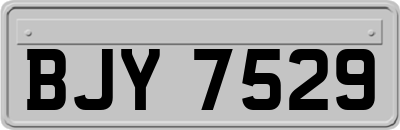 BJY7529
