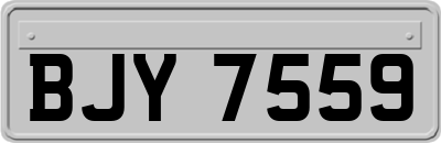 BJY7559