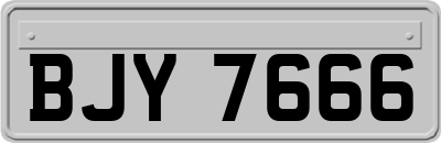 BJY7666