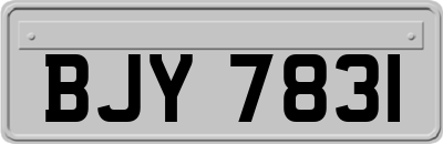BJY7831