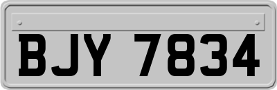 BJY7834