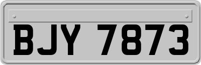 BJY7873