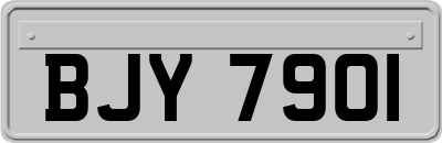 BJY7901