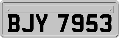 BJY7953