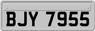 BJY7955