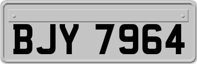 BJY7964