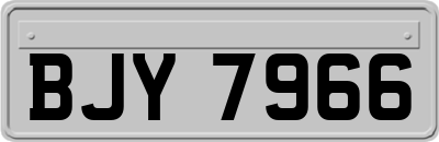 BJY7966