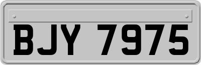 BJY7975