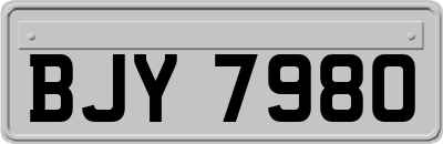 BJY7980
