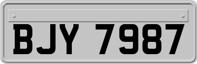 BJY7987