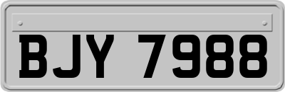 BJY7988
