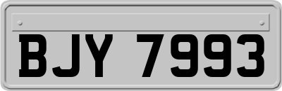 BJY7993