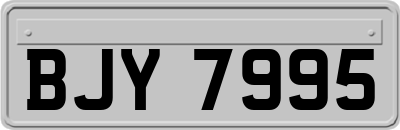 BJY7995
