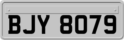 BJY8079