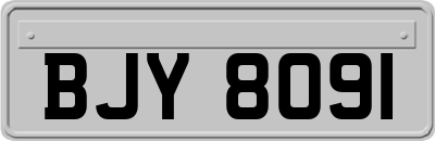 BJY8091