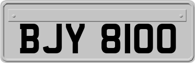 BJY8100