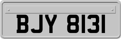 BJY8131
