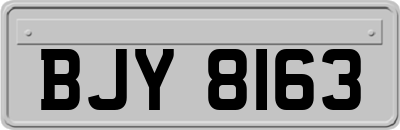 BJY8163