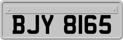 BJY8165