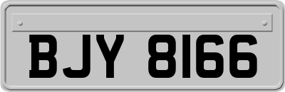BJY8166