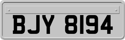 BJY8194