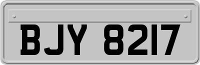 BJY8217