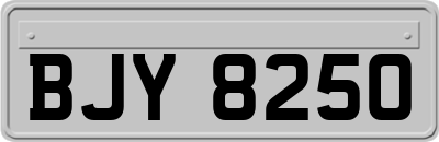 BJY8250