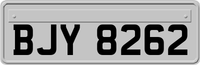 BJY8262