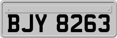 BJY8263