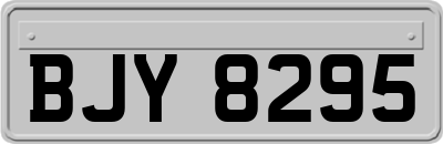 BJY8295