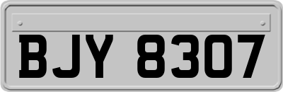 BJY8307