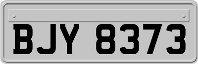 BJY8373