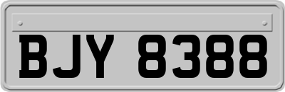BJY8388