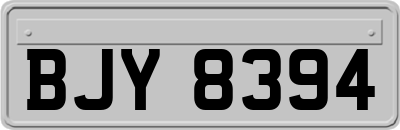 BJY8394