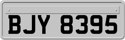 BJY8395