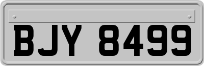 BJY8499