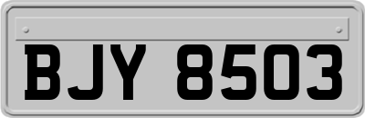 BJY8503