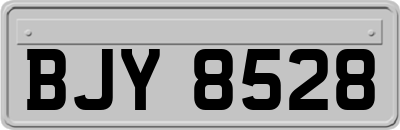 BJY8528