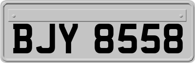 BJY8558