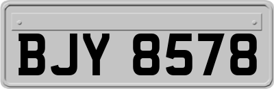 BJY8578