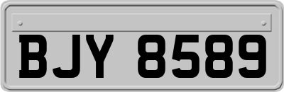 BJY8589