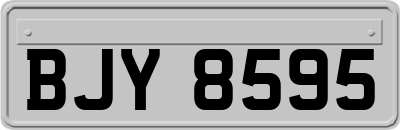BJY8595