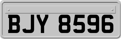 BJY8596