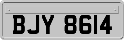 BJY8614