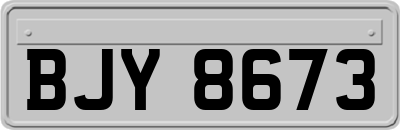 BJY8673