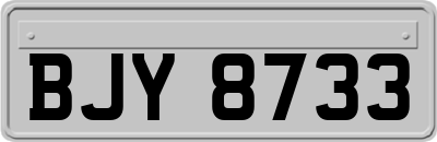 BJY8733