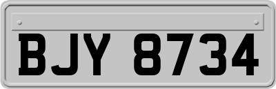 BJY8734