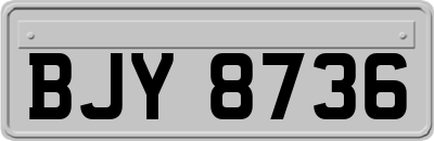 BJY8736