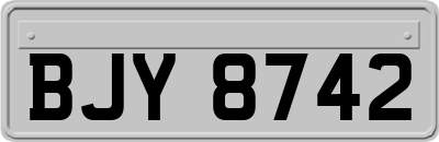 BJY8742