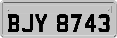 BJY8743